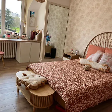 Parenthese De Reve - Piscine & Confort Au Mans 3* Coulaines